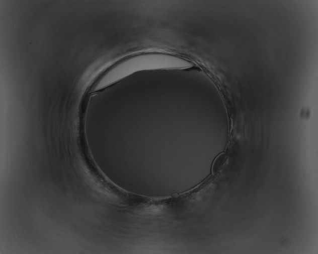 X0000091460247200708301837