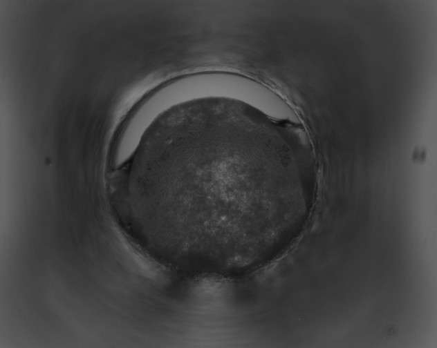 X0000091460248200708301837