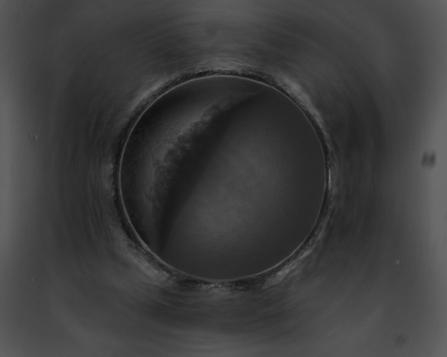 X0000091460249200708301837