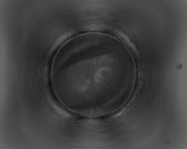 X0000091460250200708301837