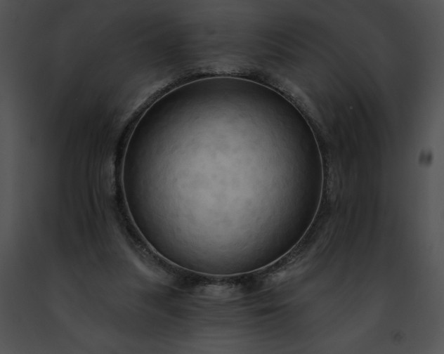 X0000091460251200708301837