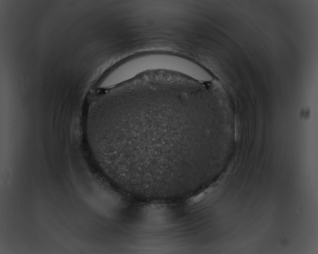 X0000091460252200708301837