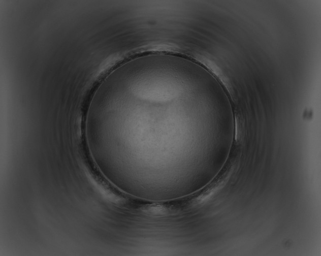 X0000091460253200708301837