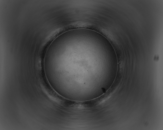 X0000091460254200708301838