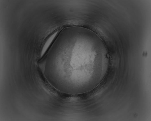 X0000091460255200708301838