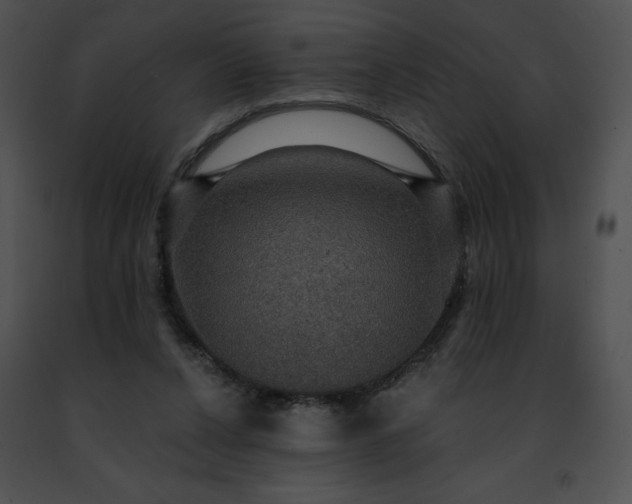 X0000091460256200708301838