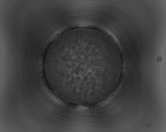 X0000091460257200708301838