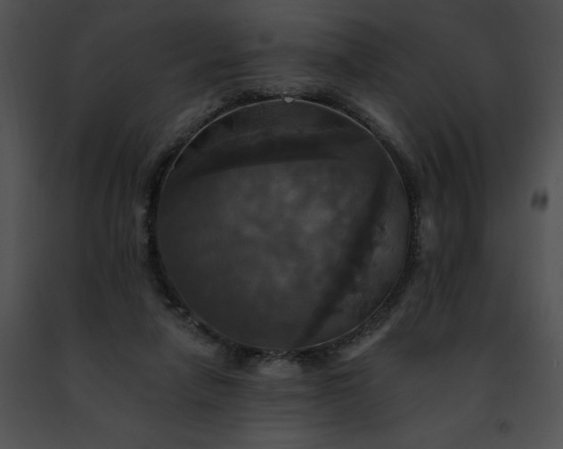 X0000091460258200708301838