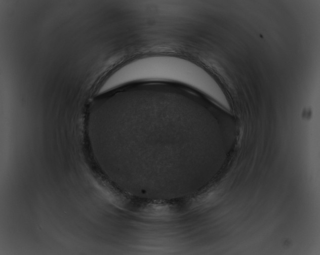 X0000091460260200708301838