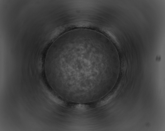 X0000091460261200708301838