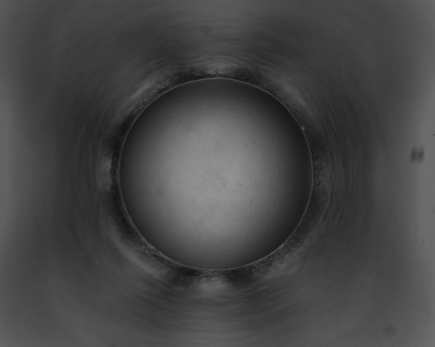 X0000091460262200708301838