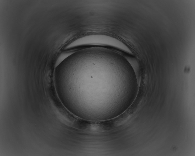 X0000091460264200708301838