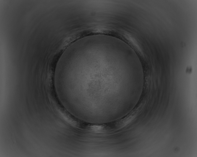 X0000091460265200708301838