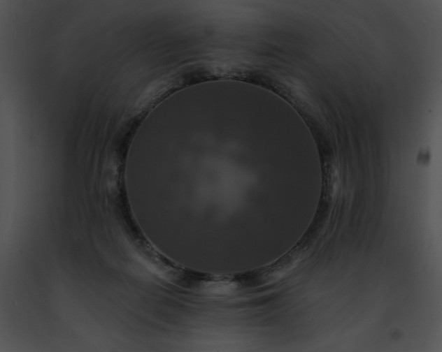 X0000091460266200708301838