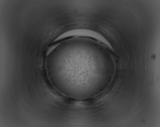 X0000091460268200708301838