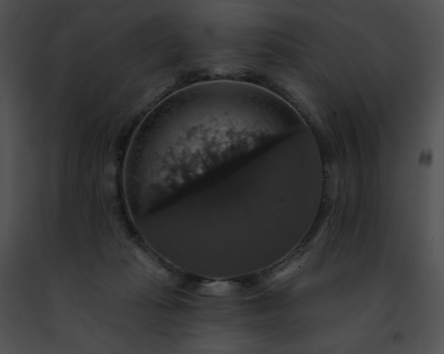 X0000091460269200708301838