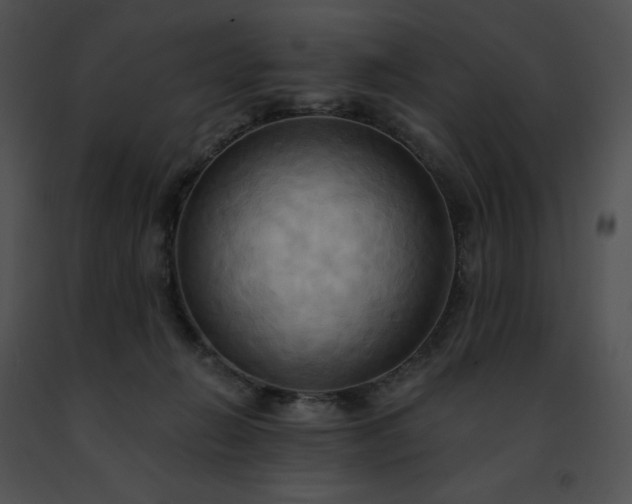 X0000091460270200708301838