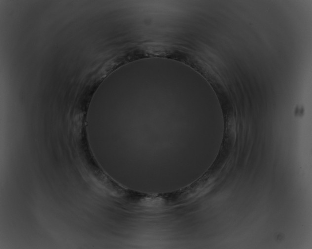 X0000091460271200708301838