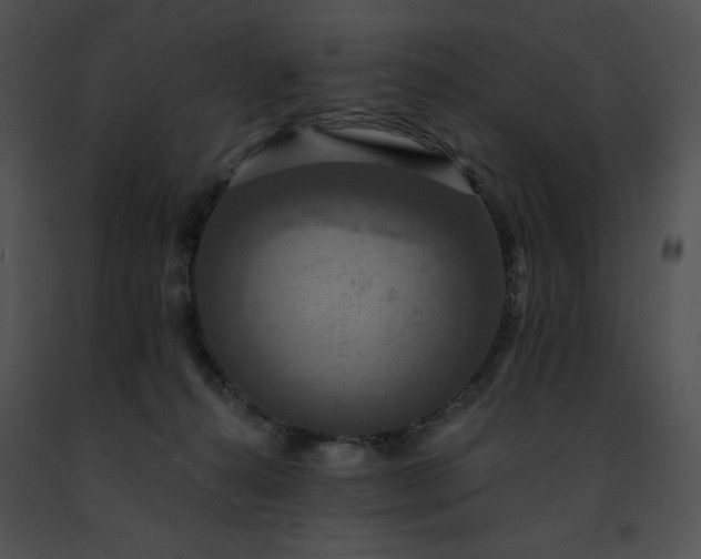 X0000091460272200708301838