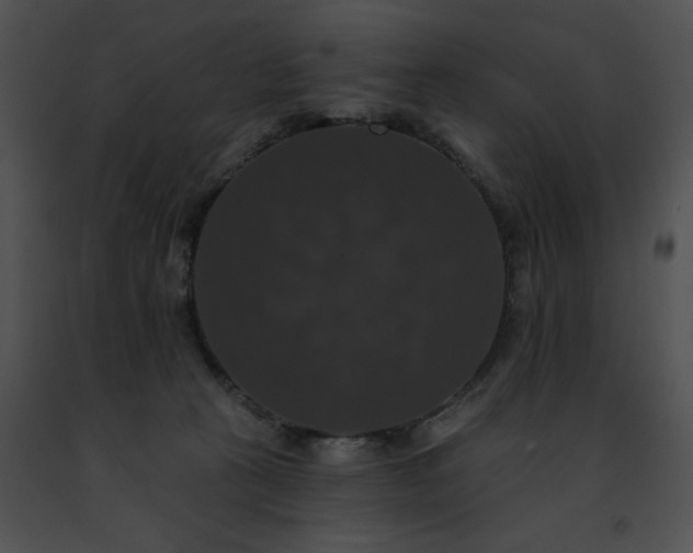 X0000091460273200708301838