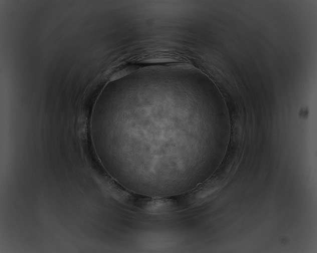 X0000091460274200708301838