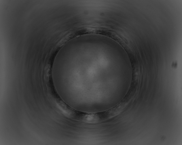 X0000091460275200708301838