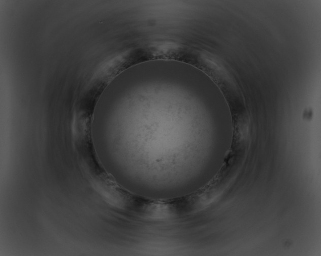 X0000091460276200708301838