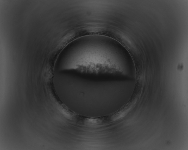 X0000091460277200708301838