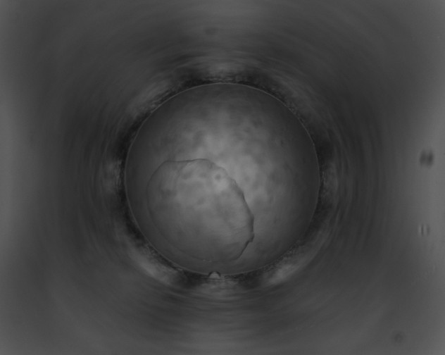 X0000091460278200708301838