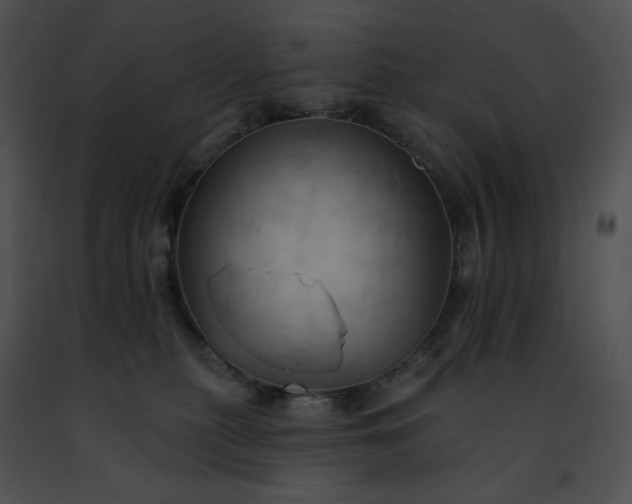 X0000091460279200708301838