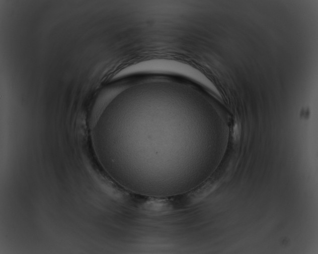 X0000091460280200708301838