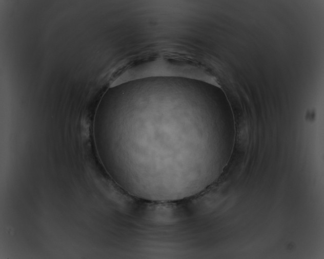 X0000091460282200708301838