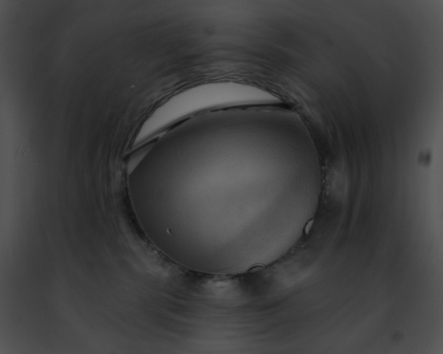 X0000091460283200708301838