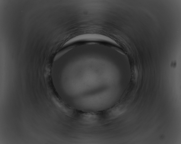 X0000091460284200708301838