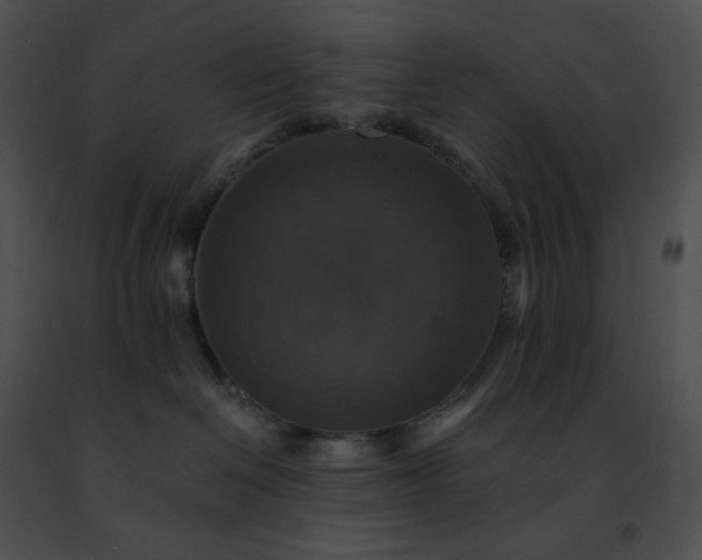 X0000091460286200708301838