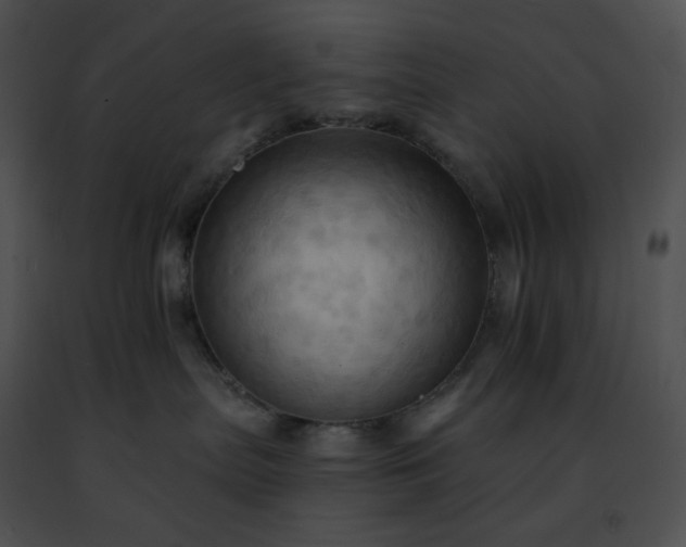 X0000091460287200708301838