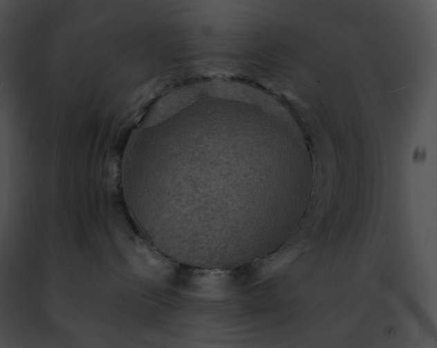 X0000091460288200708301838