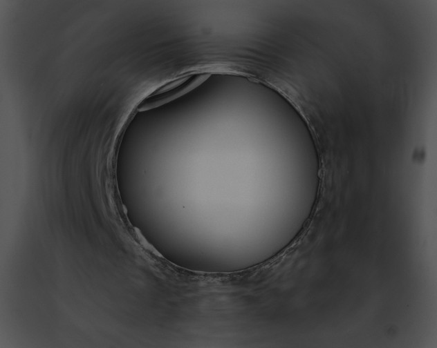 X0000091460289200708301837