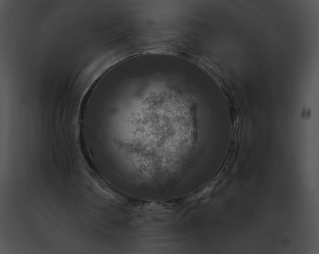 X0000091460290200708301837