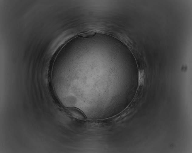 X0000091460291200708301837