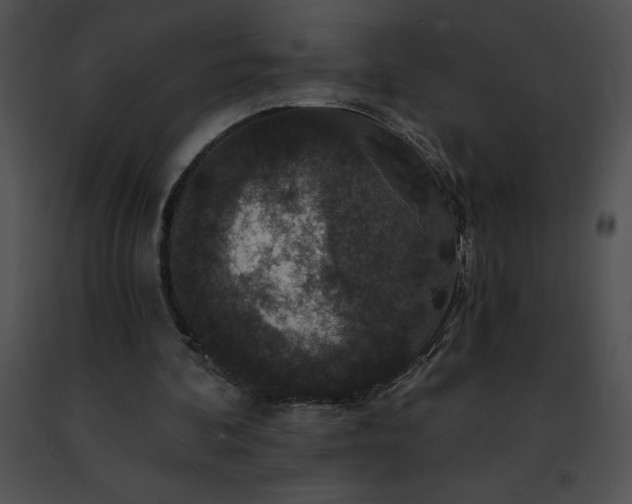 X0000091460292200708301837