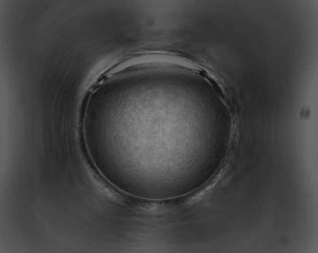 X0000091460293200708301837