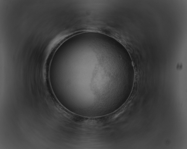 X0000091460294200708301837