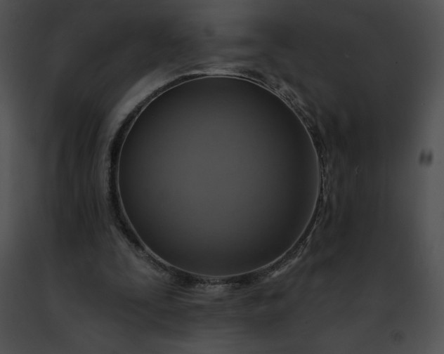 X0000091460295200708301837