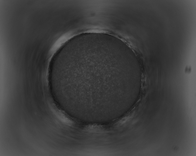 X0000091460296200708301837