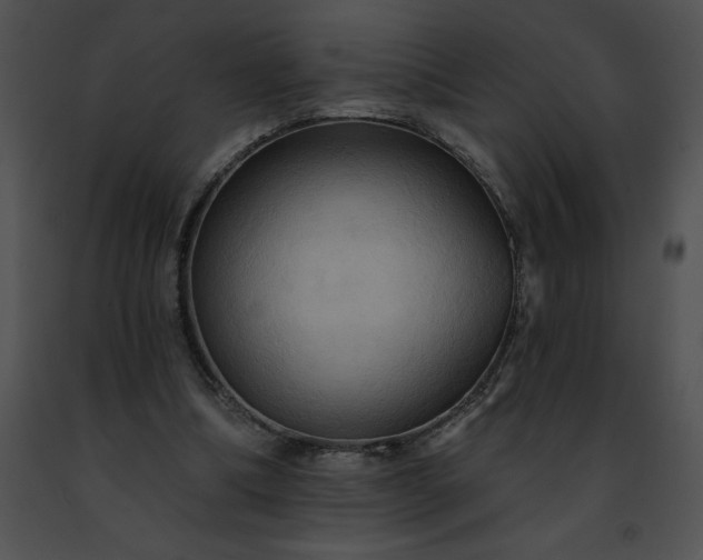 X0000091460298200708301837