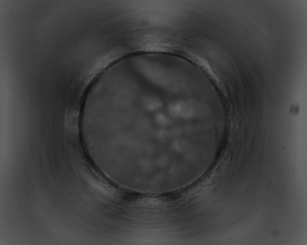 X0000091460299200708301837