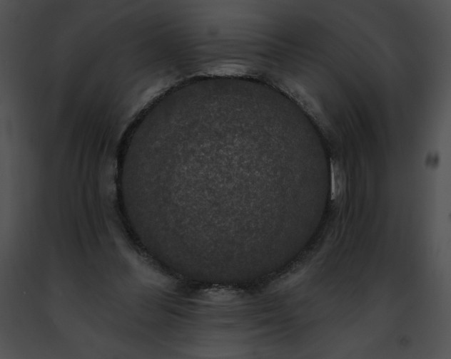 X0000091460300200708301837