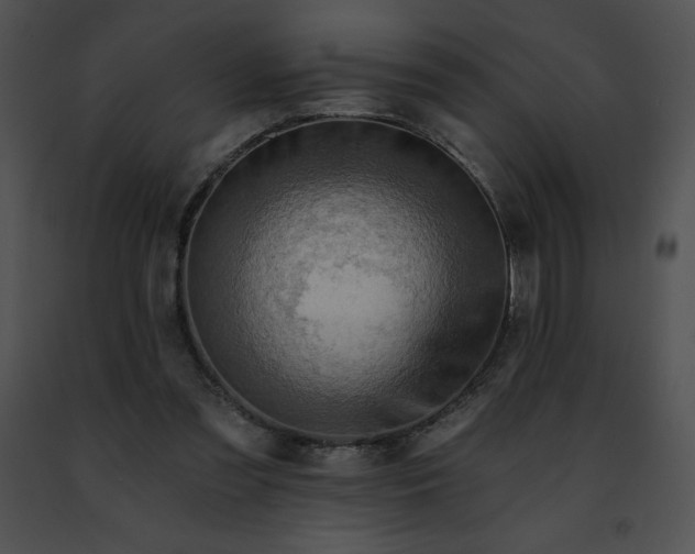 X0000091460301200708301837