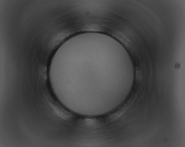 X0000091460302200708301837